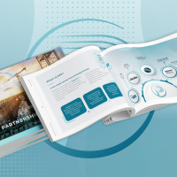 Project Partners Strategy