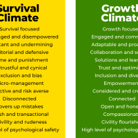 Mindset to Lead training programme